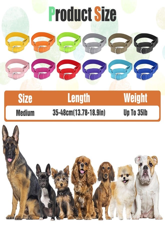 mekueeex 12 Pcs Martingale Collar for Medium Dogs Reflective Dog Collar with Durable Metal Buckle Adjustable Nylon Pet Prevent Slipping Out for Pupplies, 12 Colors - Image 3